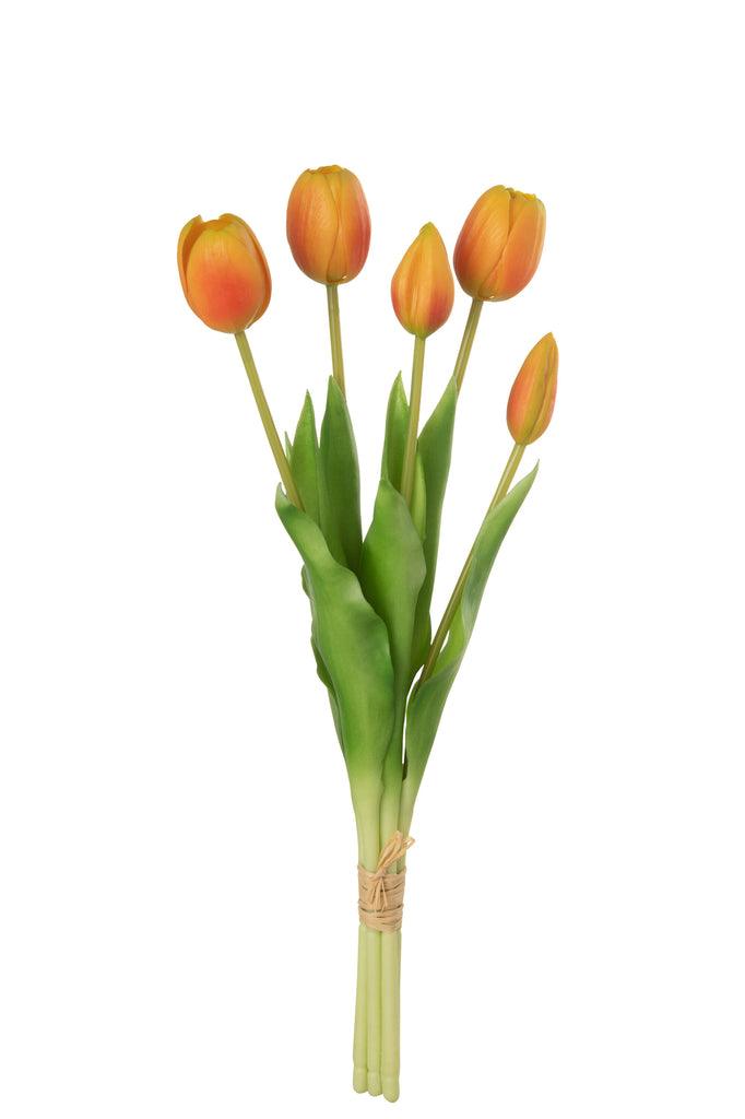 Boeket Tulpen 5 Stuks Pu Oranje Medium - Florismoo