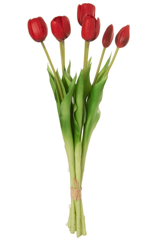 Boeket Tulpen 7stuks Pu Rood Large - Florismoo