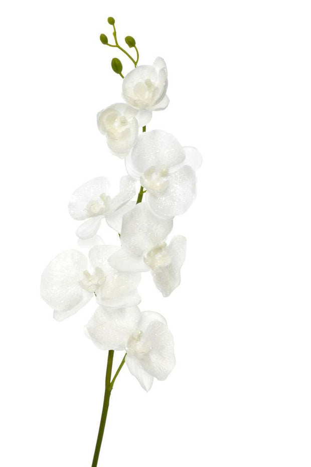 Orchidee Polyester Wit 98Cm - Florismoo